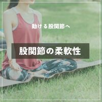 画像272