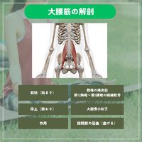 画像274