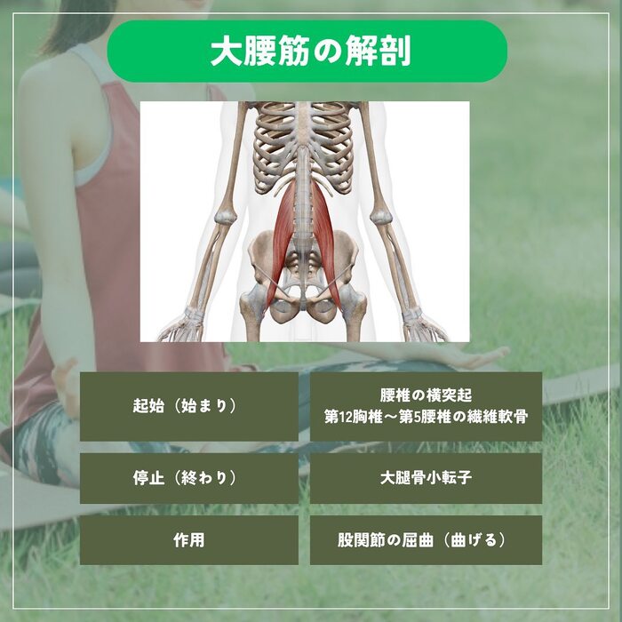 画像274