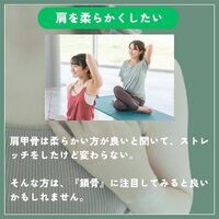 画像291