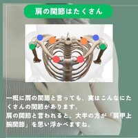 画像292