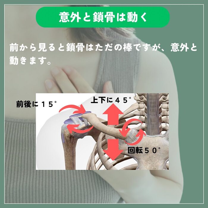 画像294