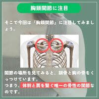 画像295
