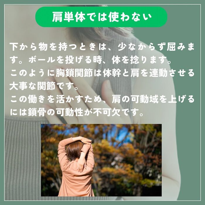 画像296