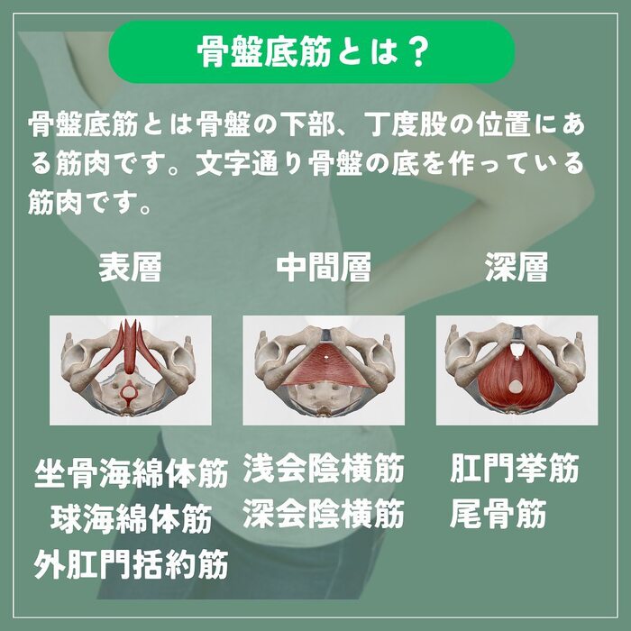 画像306