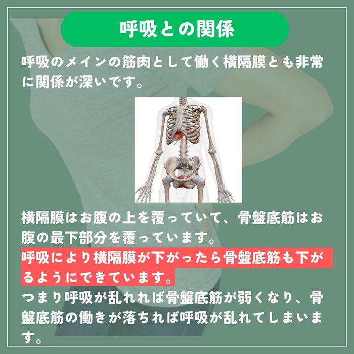 画像308