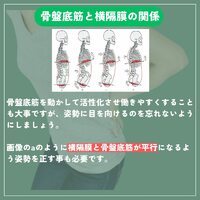 画像310