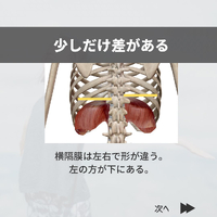 画像419