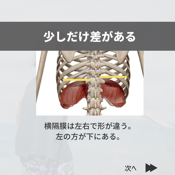 画像419