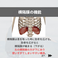 画像420