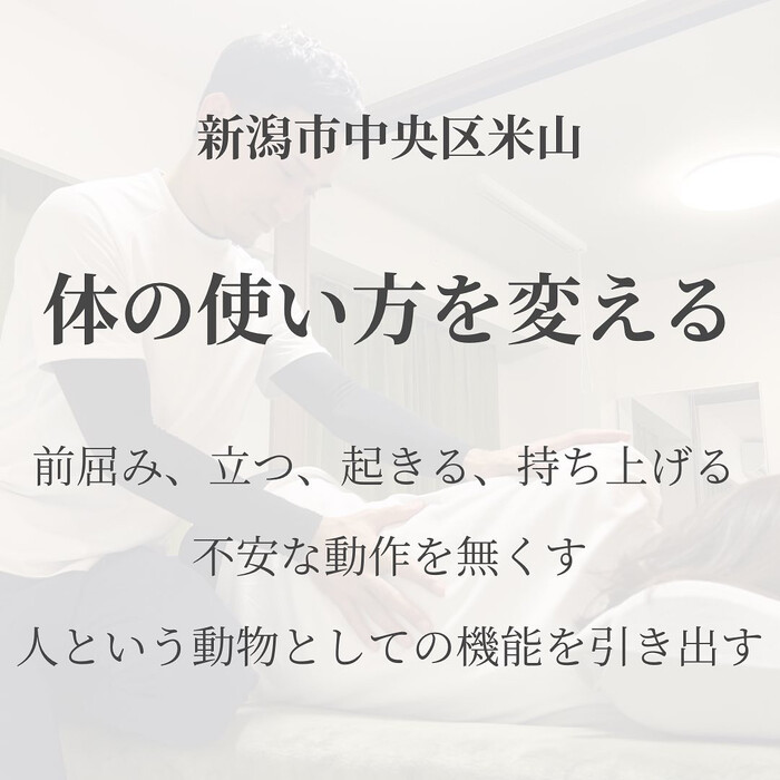 画像494